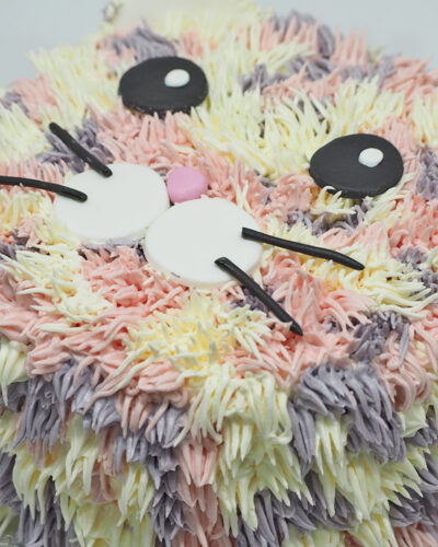 Cat Cake
