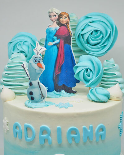 Frozen Cake